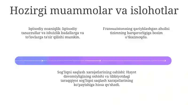 Fransiyada ijtimoiy himoya 4