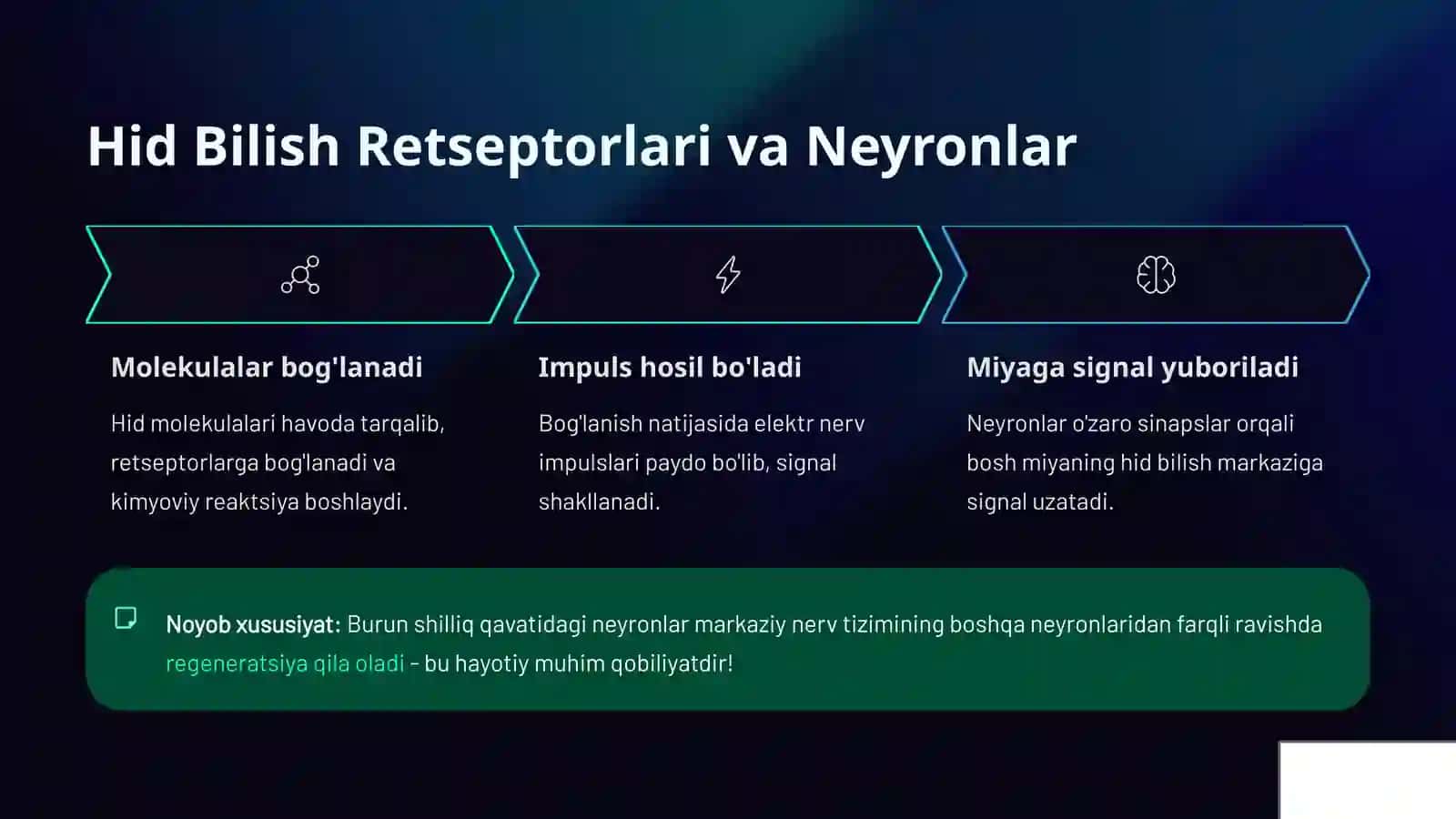 Hid Bilish Organining Tuzilishi va Regeneratsiya Qilish Xususiyatlari 4