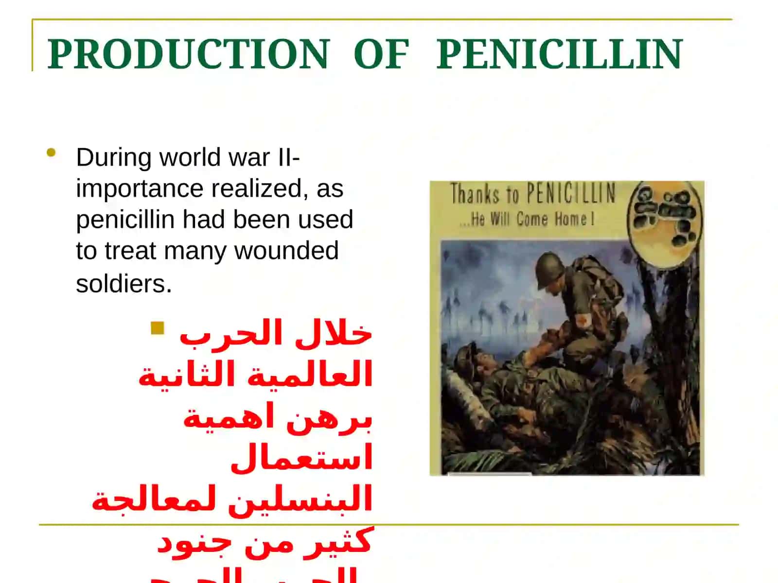 Antibiotics Production 4