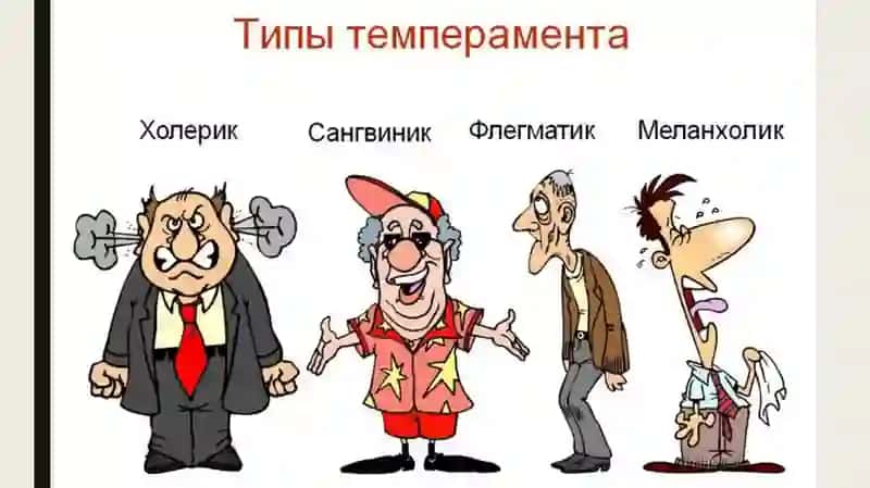 Temperamentning mutaxassisning ish uslubiga ta'siri 4