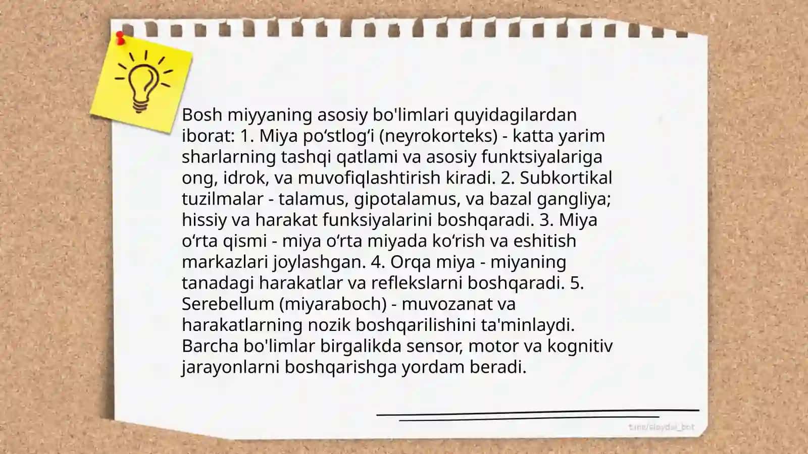 Bosh miyya va orqa miyyaning asosiy yo'llari:bosh miyya o'tkazuvchi yo'llaring anatomik va funkisiyanal faoliyati taqdimod 4