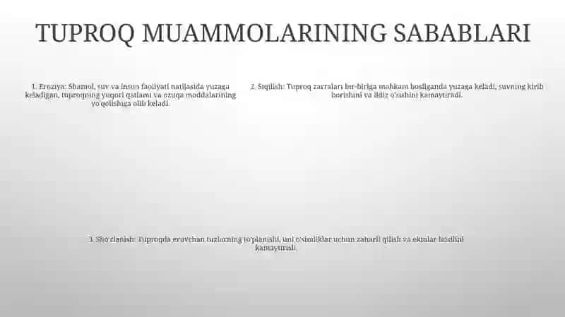 Oʻzbekistonda Tuproq Bilan BogʻLiq BoʻLgan Muammolar Va Yechimlar 4