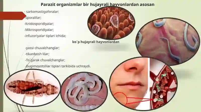 PARAZITOLOGIYA FANI 4