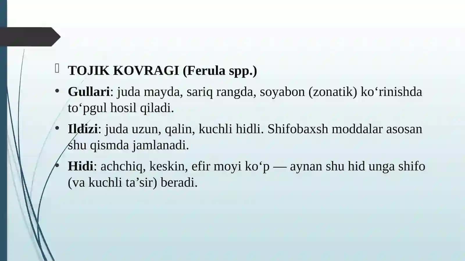 Tojik ko`vragi o'simligi 4