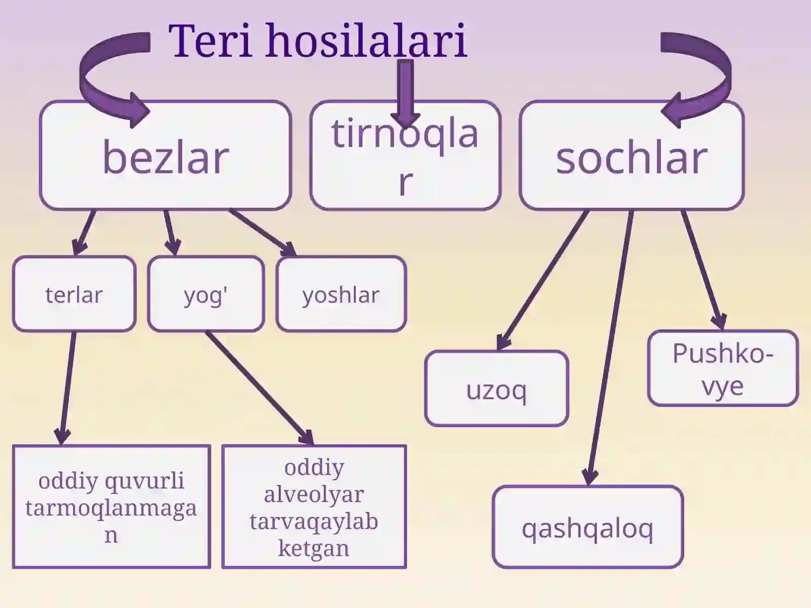 Teri va uning hosilalari 4