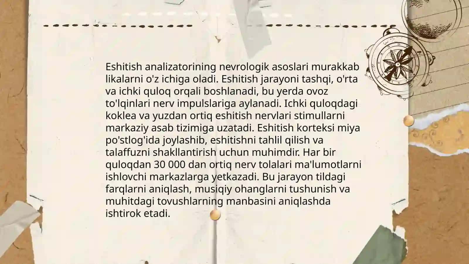Eshitish analizatorlari tizimi: nevro-fizologik asoslari va shakllanishi. Tovush va uning xususiyatlar 4