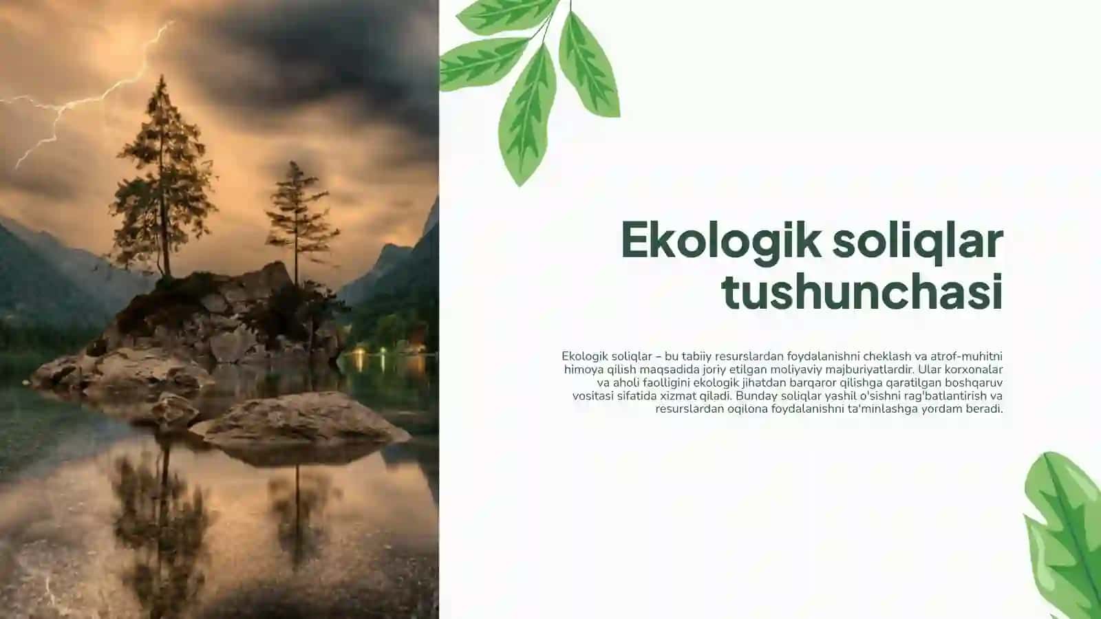 Ekologik soliqlar va yashil oʻsishni ta'minlash 4