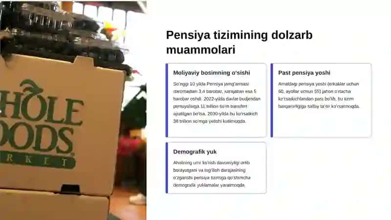 Pensiyatizimining dolzarb muammolari 4