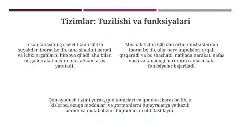 Odamtanaqismlari tuzilishi va funksiyalari 4
