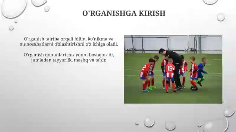 Talim jarayonining qonunyatlari va tamoyillari 4