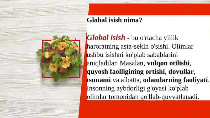 Dunyo iqlimidagi global muammolar 4