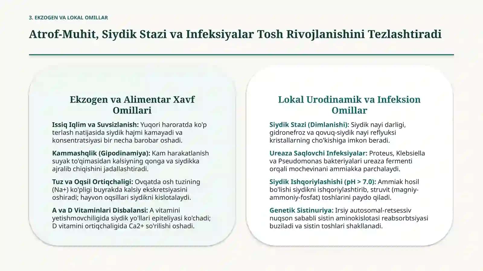 Buyrakda tosh hosil bo'lishi sabablari va mexanizmlari. Buyrak va siydik tosh kasalliklari -- nefrol 4
