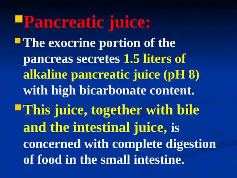 The Pancreas 4
