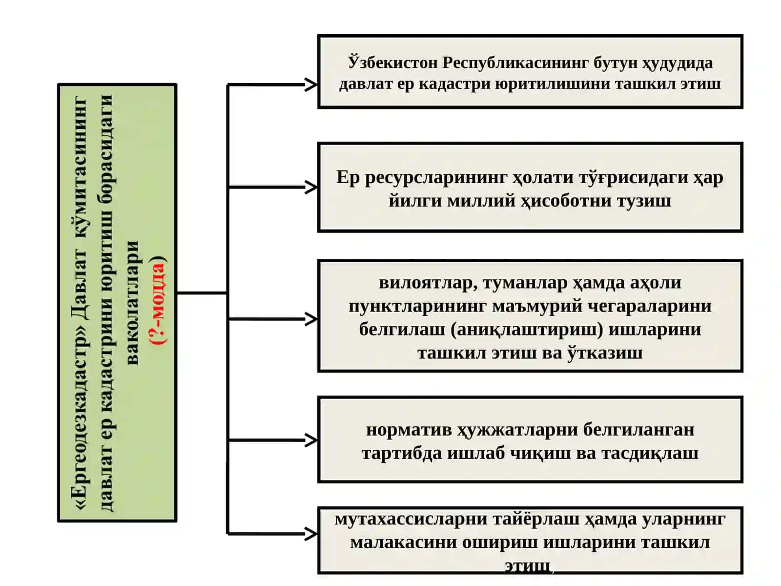Ер кадастрини юритувчи органлар ва уларнинг ваколатлари 4