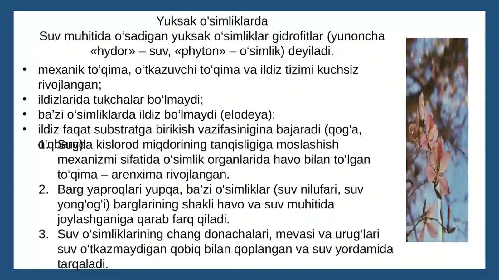 O'simliklarning yashash muhiti 4