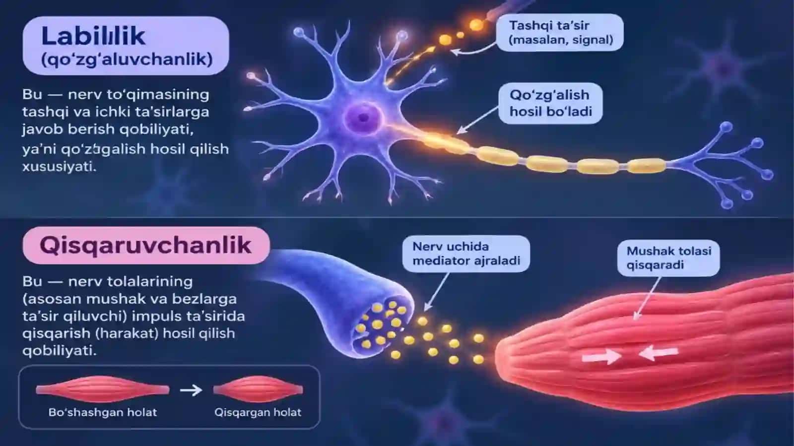Ta'sirlasish qonuni 4