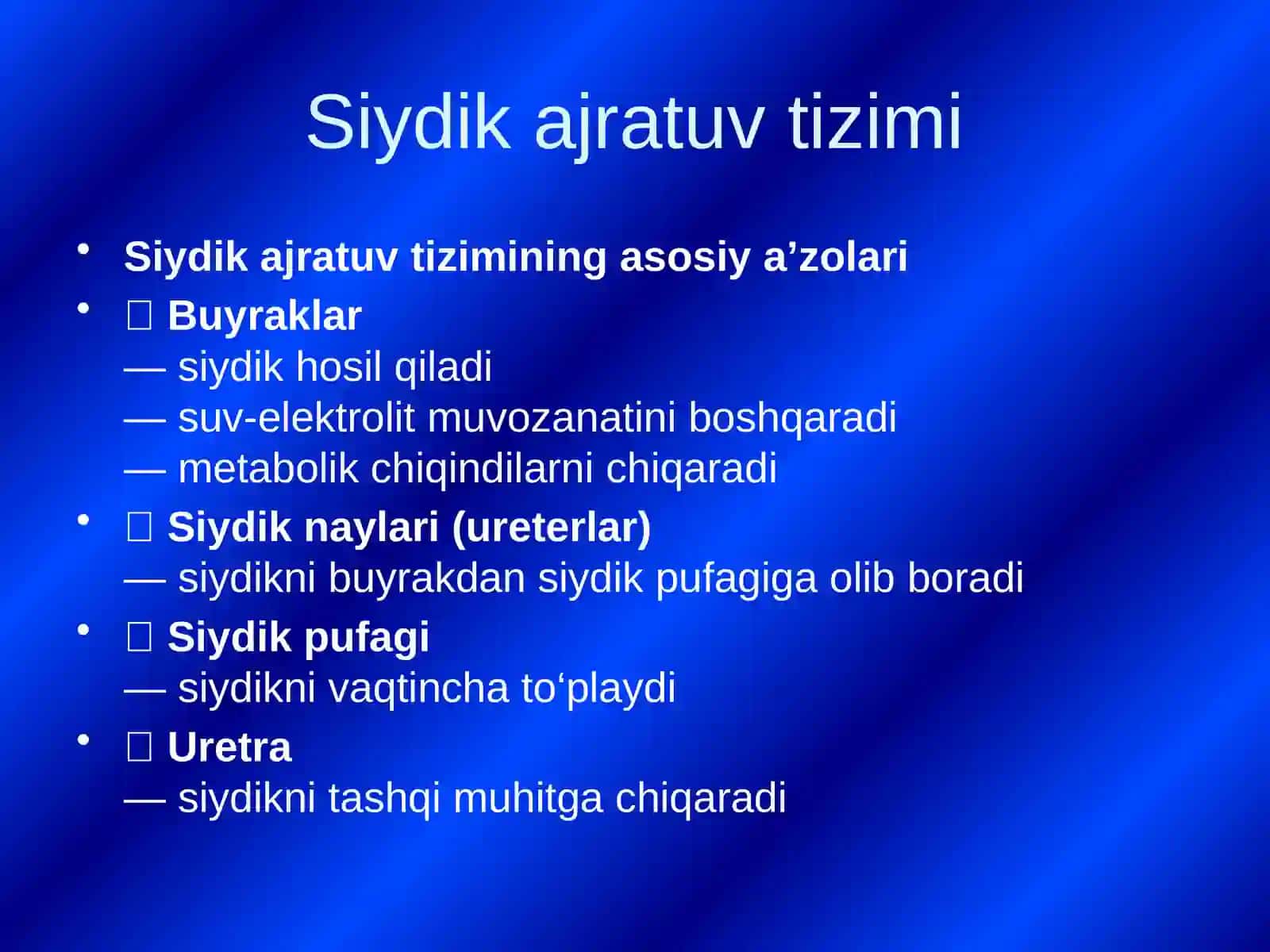 Siydikajiruvtizimia’zolariningtibbiyvizualizatsiyasi 4