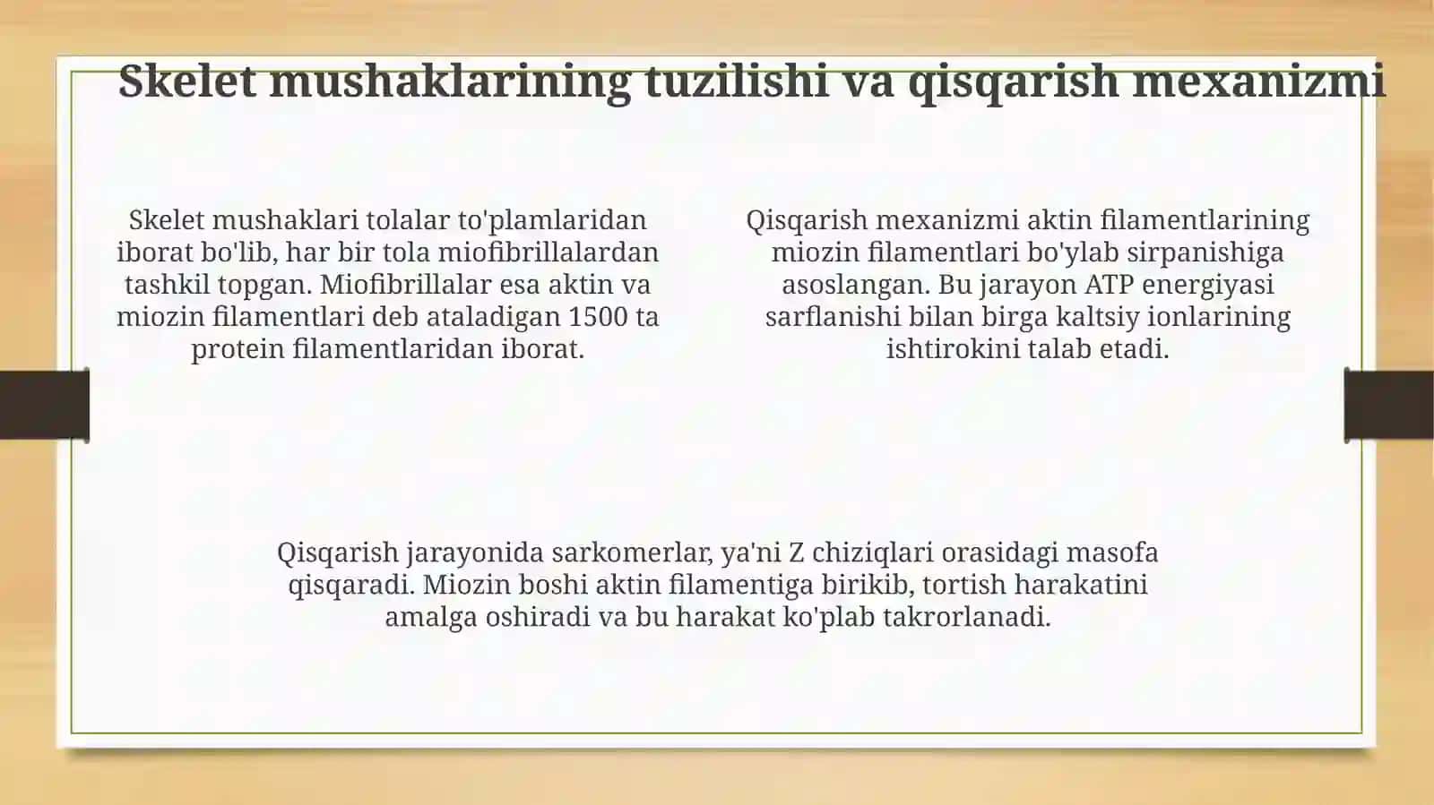 Muskullar sistemasi 4