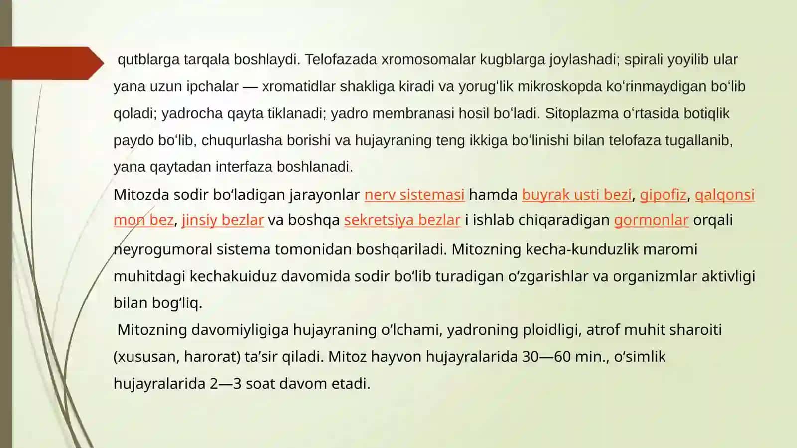Mitoz jarayonining boshqarilishi 4