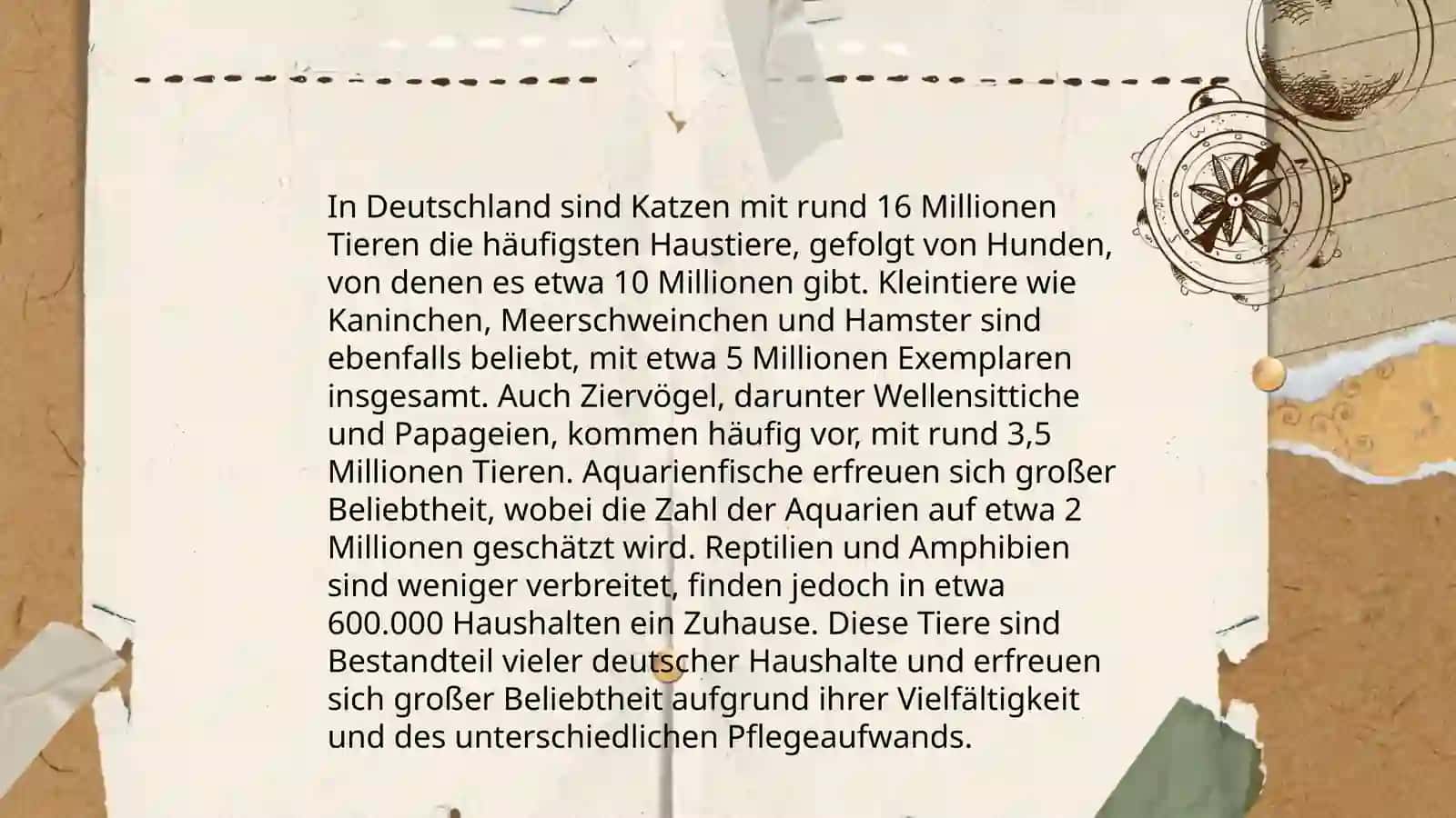 Das Behalten von Haustieren 4