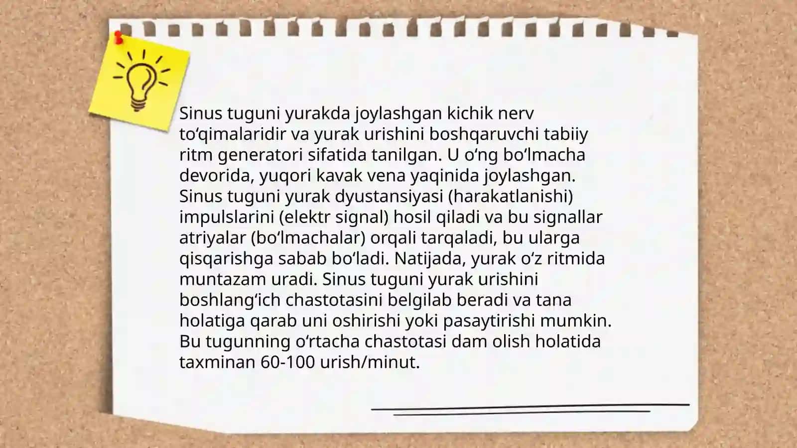 Yurakning oʻtkazuvchi tizimi hususiyatlari, qon aylanishini nerv tizimi tomonidan boshqarilishi yurak faoliyati 4