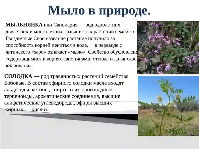 МЫЛА 4