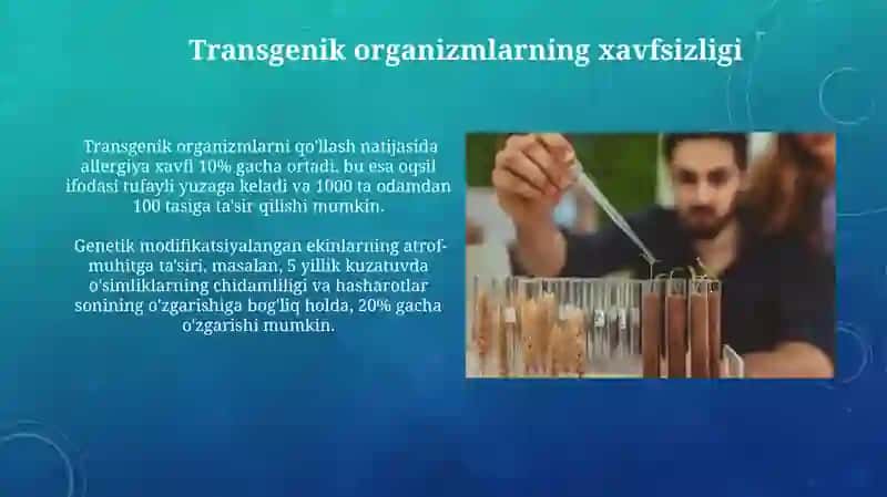 Transgenik Organizmlarni Qo'llash Sohalari 4