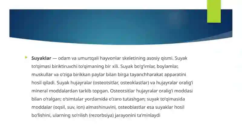 Skelet suyaklarining rentgenanatomiyasi 4