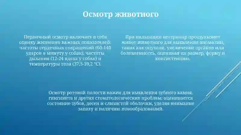 Уветврача.ВВетклинике. 4