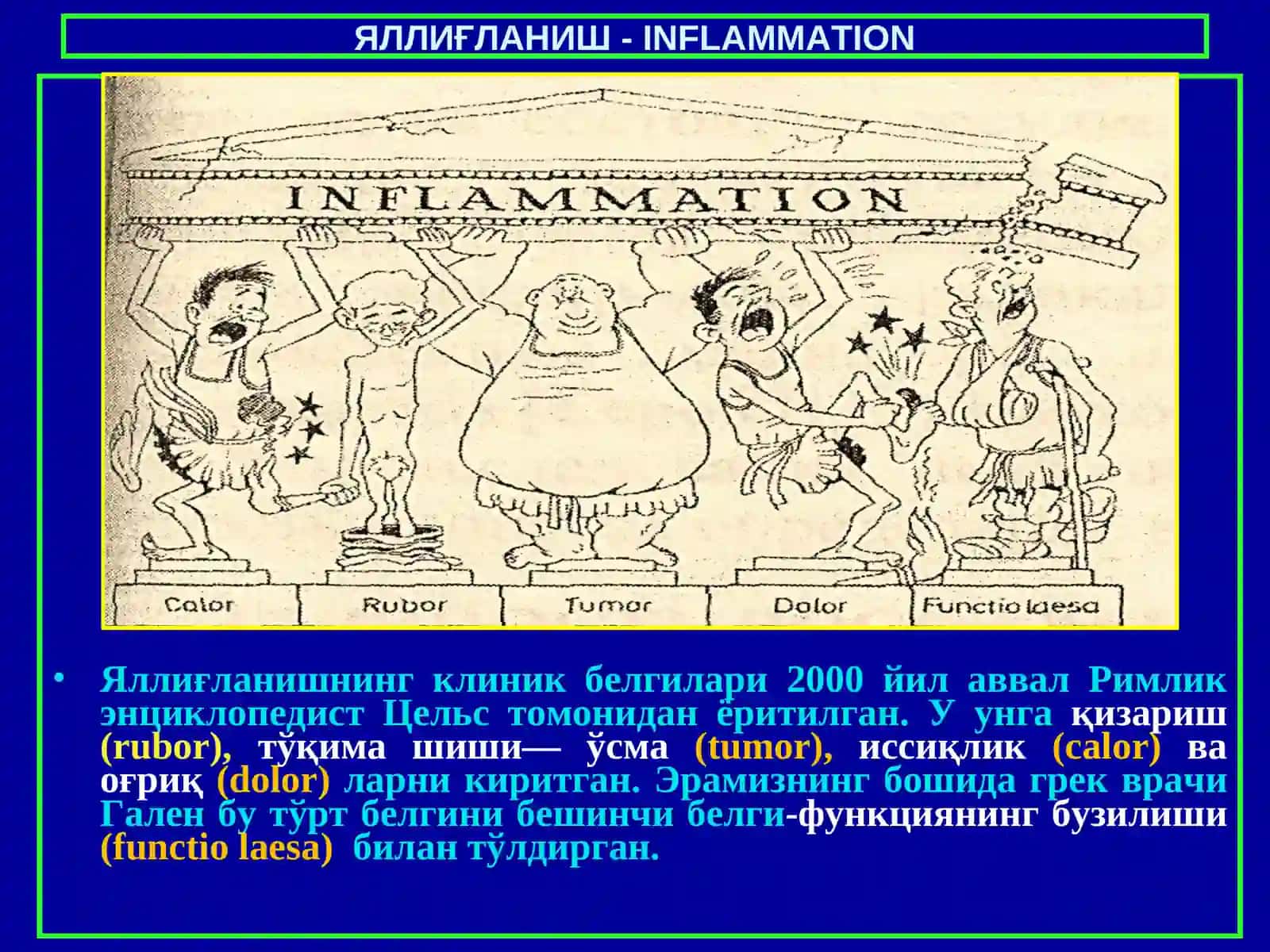 Яллиғланиш 4
