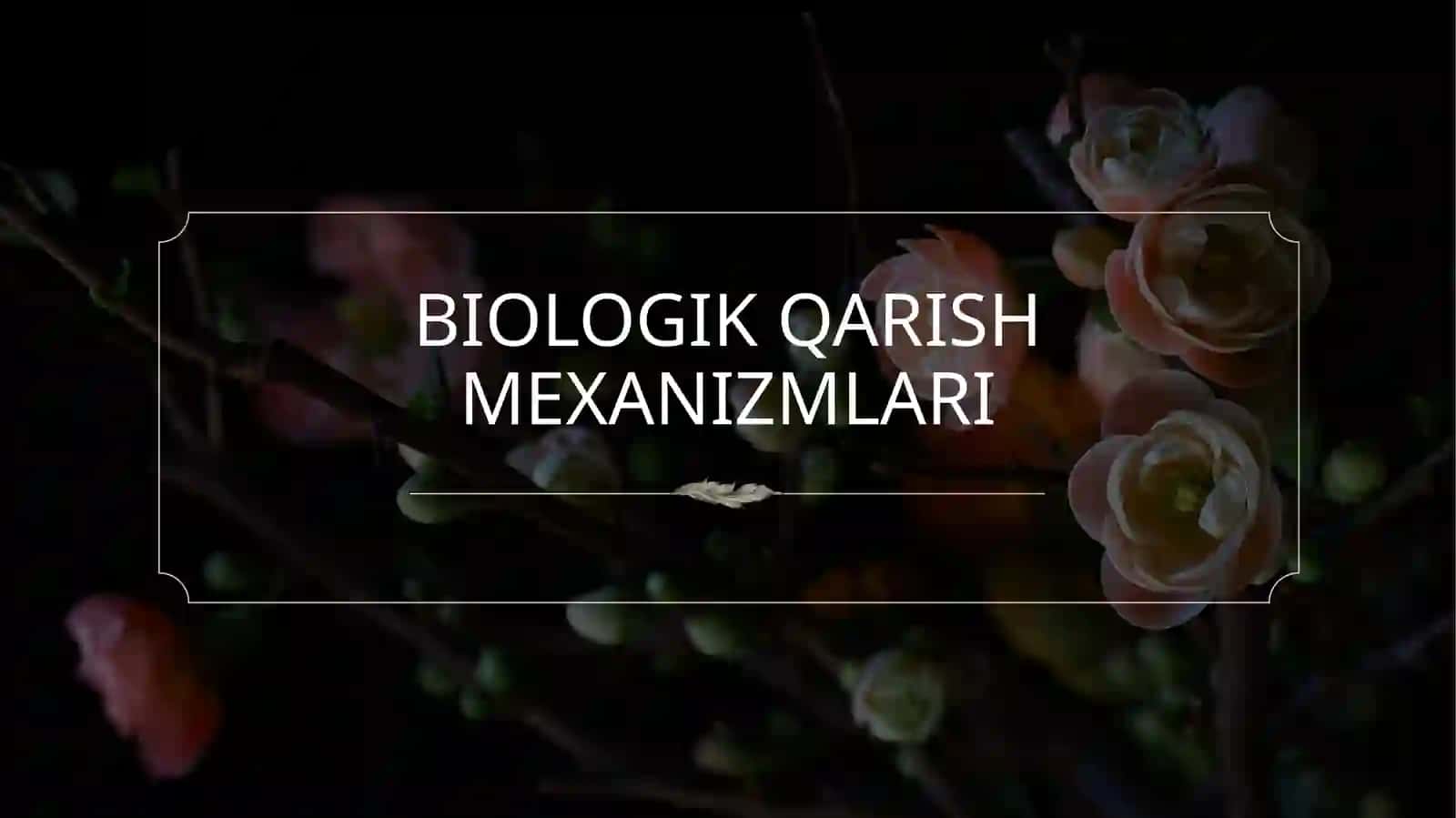 Uzoq umr ko’rish muammolari 4