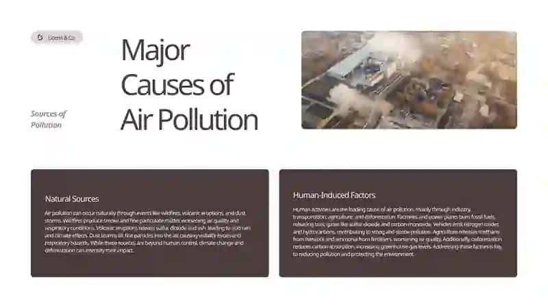 Air Pollution: Causes, Effects, and Solutions 4