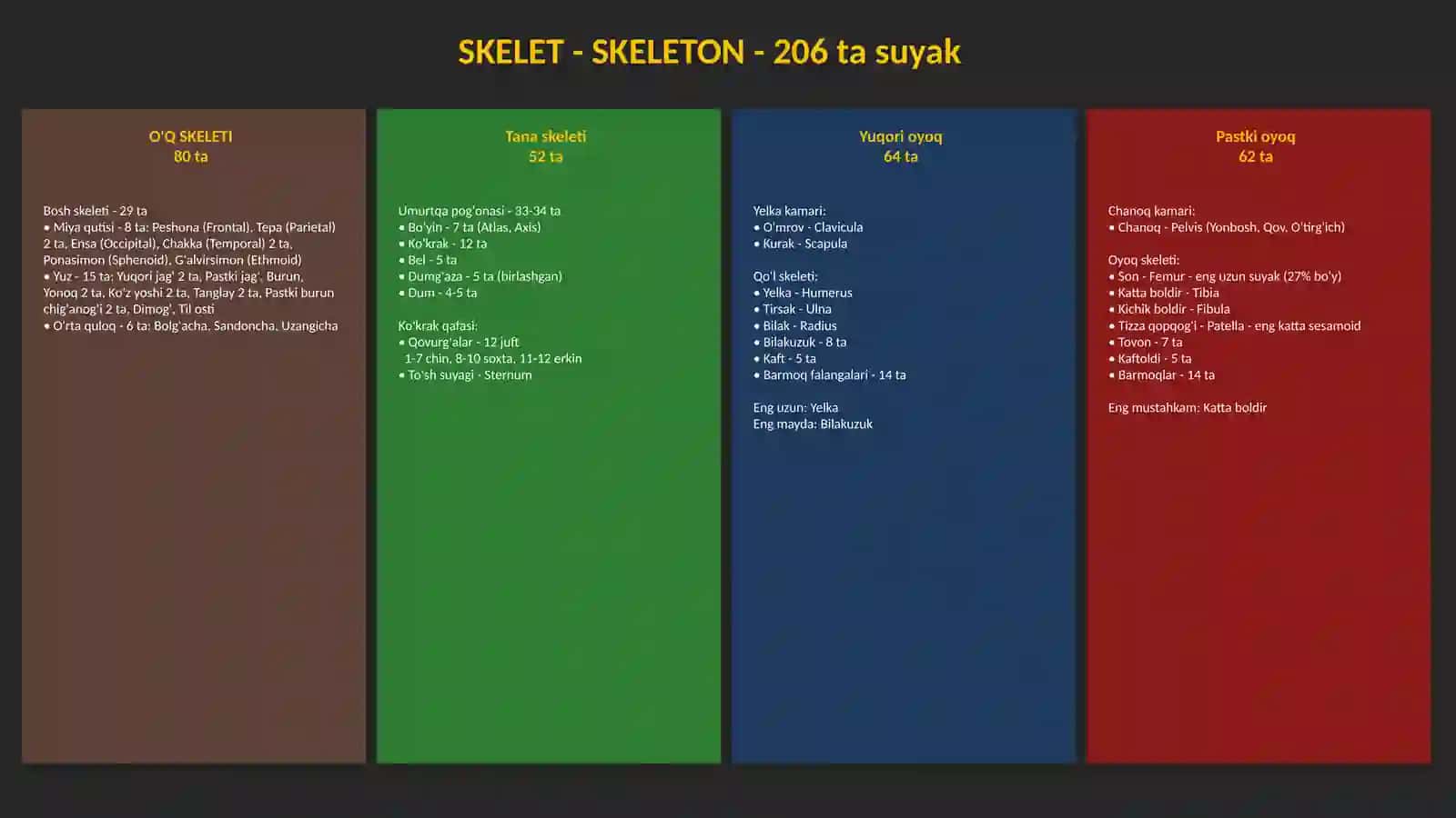 Osteologiya suyaklar haqida | Taqdimot 4