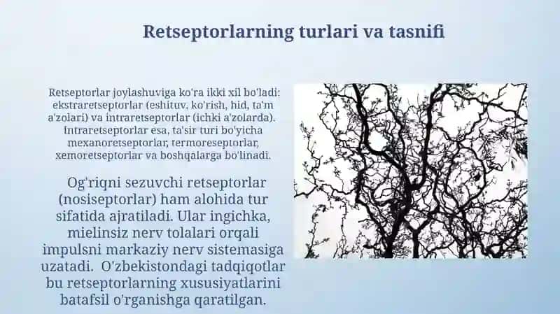 Reflektor yoyi 4