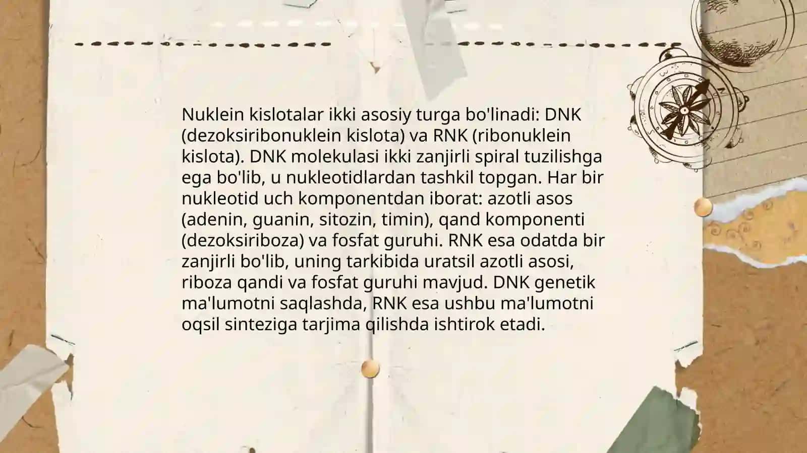 Nuklein kislotalarning kimyoviy tarkibi 4