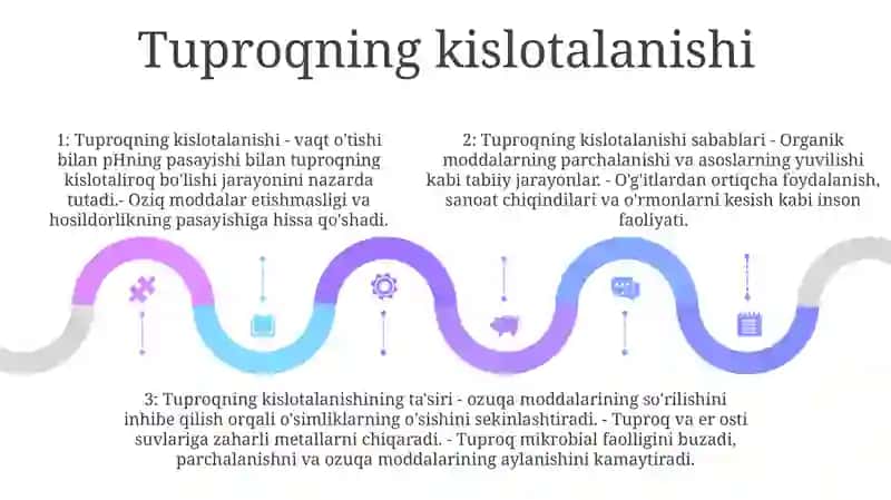 Tuproqshunoslikning Zamonaviy Muammolari 4
