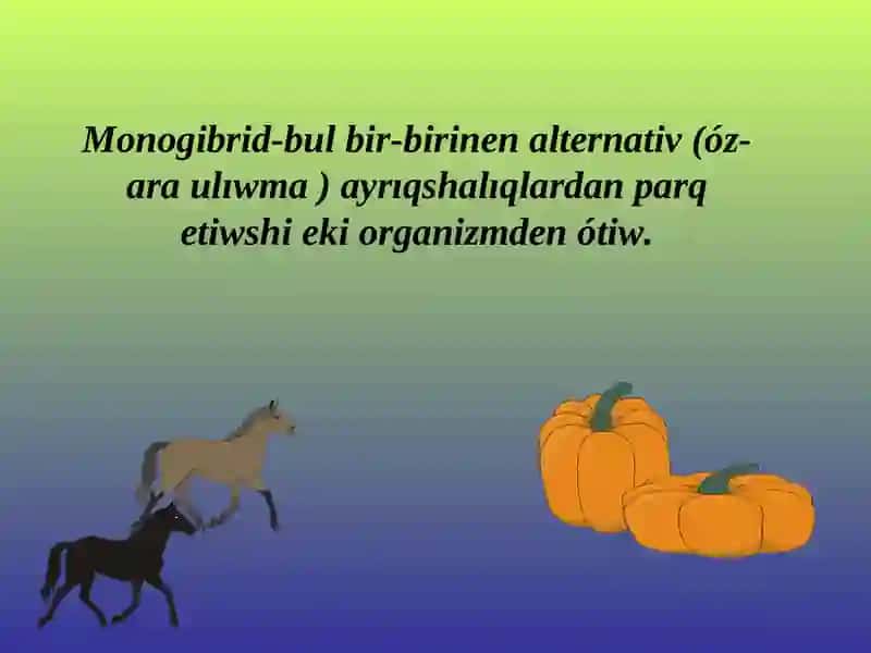 Atiz eginler selektsiyasinda monogibrid shaǵılıstırıw 4