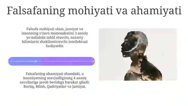 Insonfalsafasi 4