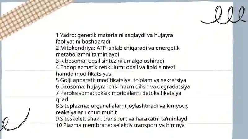 Hujayra - Tirik organizmlar va ularda kechadigan jarayonlar 4
