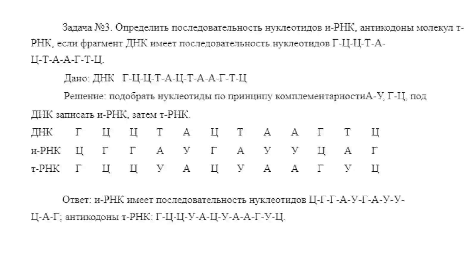 Решение задач на определение последовательности нуклеотидов 4