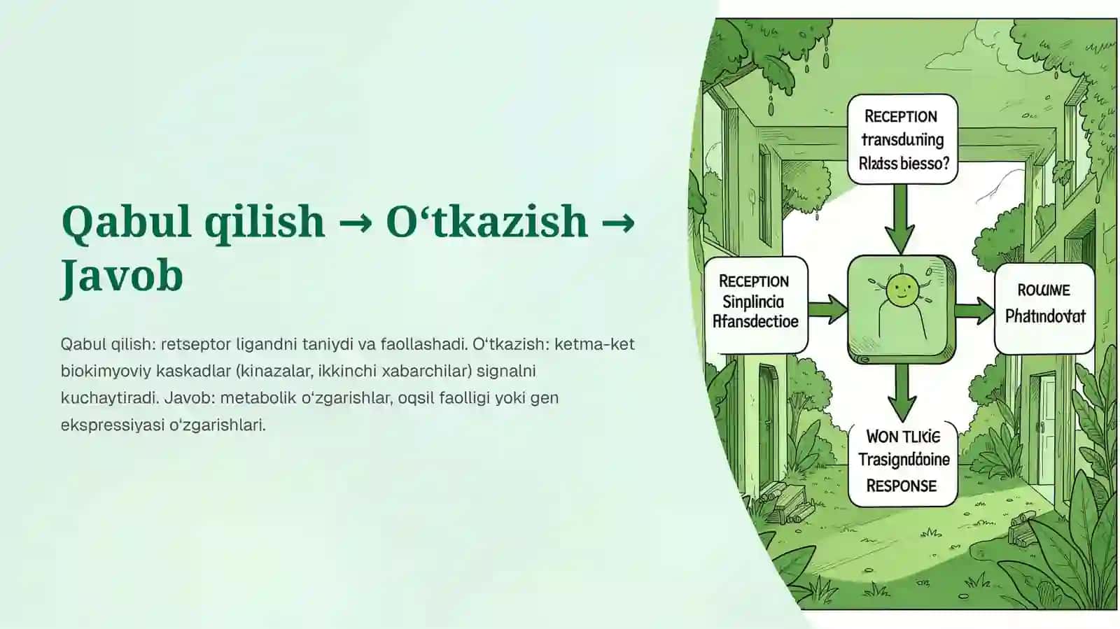 Signallarni membrana orqali uzatilishi 4