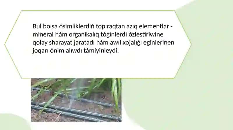 Suwg'ariw usillari ha'm tamshilatip suwg'ariw usillarin u'yreniw 4