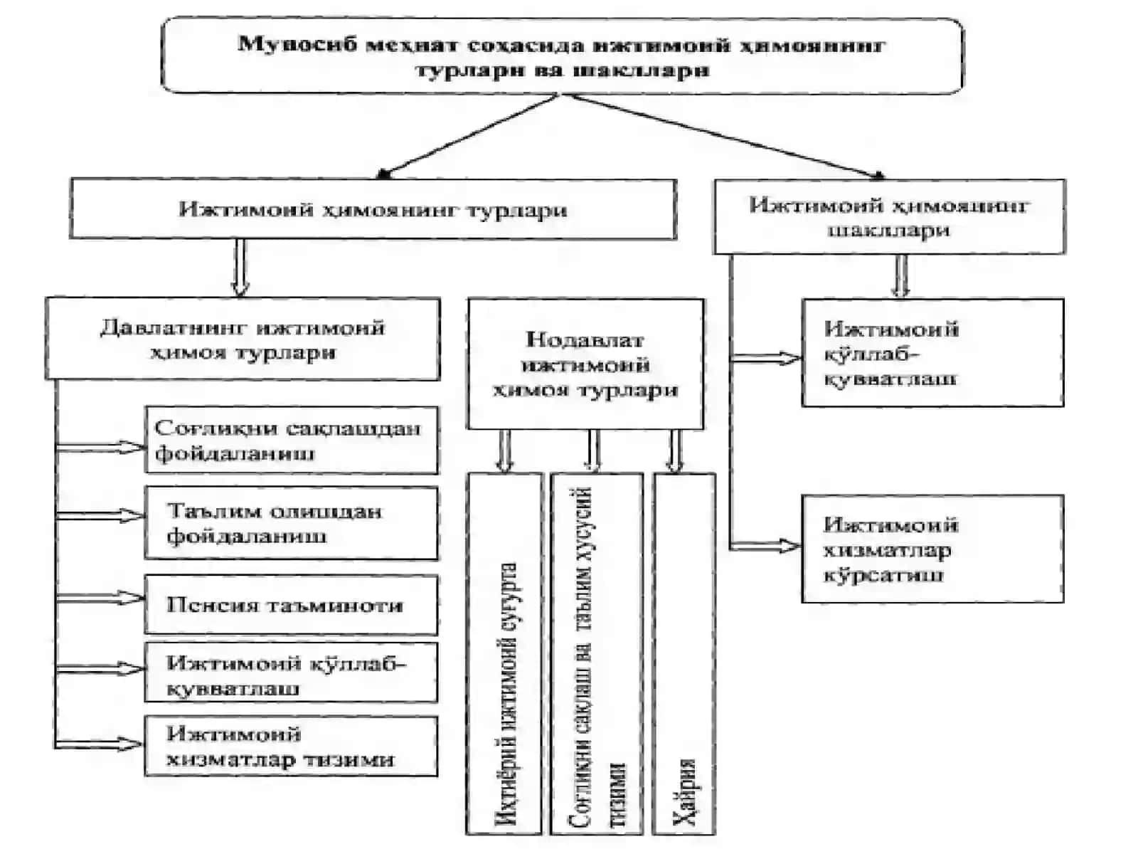 Аҳолини ижтимоий ҳимояқилиш ва инсон капитали 4