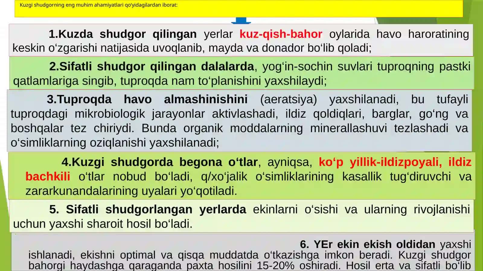 Kuzgi shudgor 4