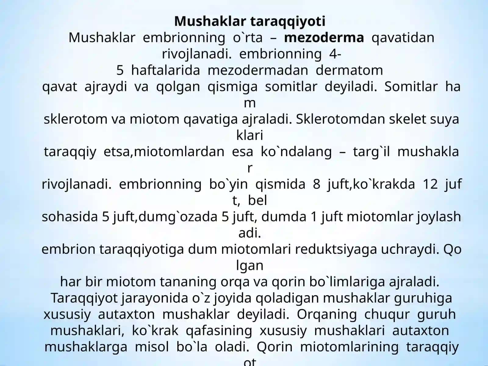 MUSHAKLAR 4