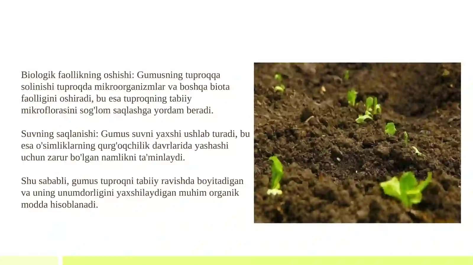 Tuproqunumdorligi 4