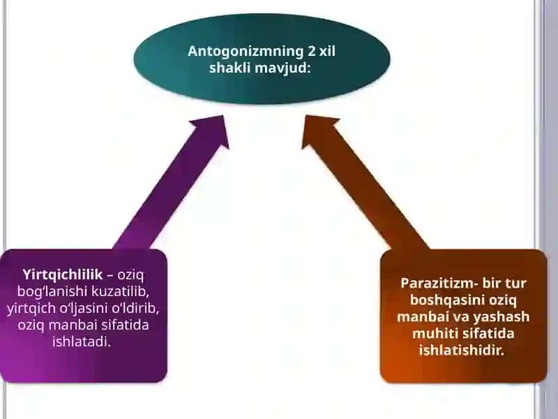 Parazitizmning biologiya asoslari 4