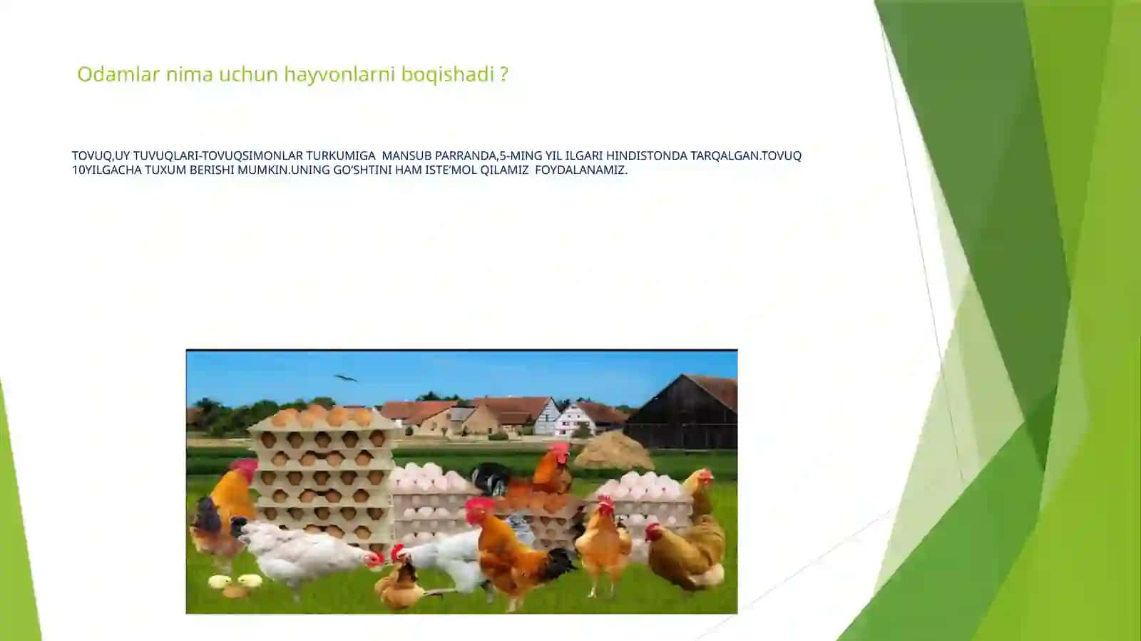 Hayvonlarning ahamiyatini o‘rganamiz 4