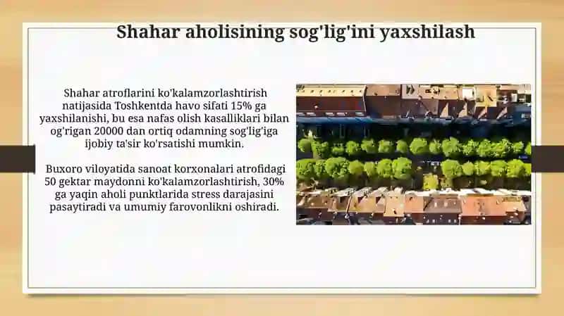 Shahar va sanoat korxonalar atrofini ko‘kalamzorlashtirish 4