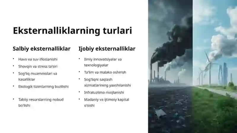 Eksternalliklar va ularni tartibga solish: Iqtisodiyotdagi yashirin ta'sirlar 4